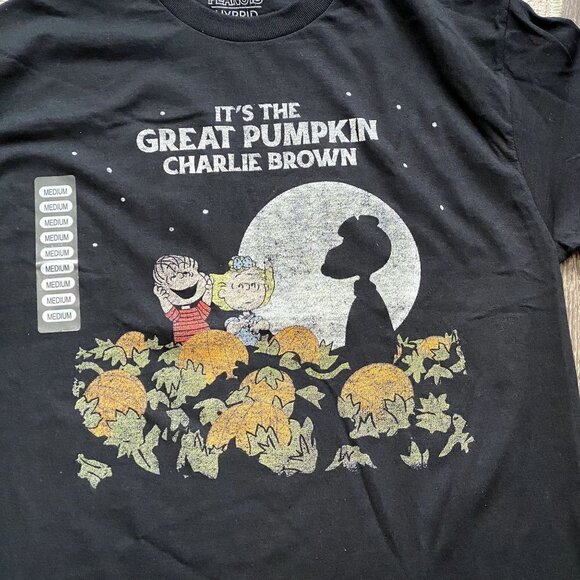 Peanuts Hybrid Apparel It's the Great Pumpkin Charlie Brown T-Shirt Sz Various - Picture 2 of 5